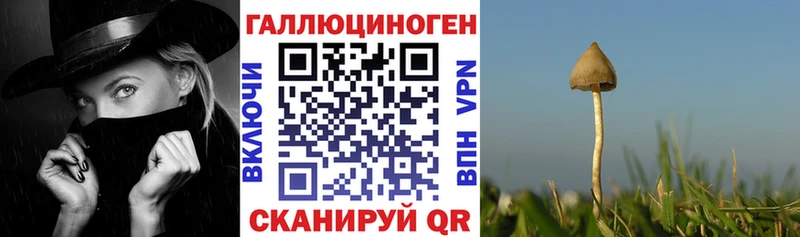 Галлюциногенные грибы мицелий  даркнет сайт  hydra зеркало  Москва 